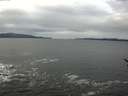./images/koeye/fitz-hugh/20170124/fitz-hugh20170124_100003.jpg