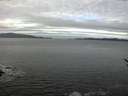 ./images/koeye/fitz-hugh/20170124/fitz-hugh20170124_105702.jpg