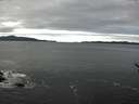 ./images/koeye/fitz-hugh/20170124/fitz-hugh20170124_115702.jpg