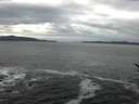 ./images/koeye/fitz-hugh/20170125/fitz-hugh20170125_112703.jpg