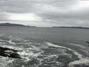./images/koeye/fitz-hugh/20170125/fitz-hugh20170125_142702.jpg