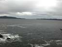 ./images/koeye/fitz-hugh/20170126/fitz-hugh20170126_092702.jpg
