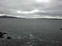 ./images/koeye/fitz-hugh/20170126/fitz-hugh20170126_135703.jpg