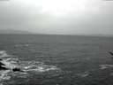 ./images/koeye/fitz-hugh/20170127/fitz-hugh20170127_092702.jpg