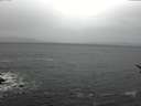 ./images/koeye/fitz-hugh/20170127/fitz-hugh20170127_102703.jpg