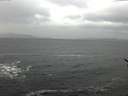 ./images/koeye/fitz-hugh/20170127/fitz-hugh20170127_115702.jpg