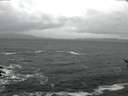 ./images/koeye/fitz-hugh/20170128/fitz-hugh20170128_105702.jpg