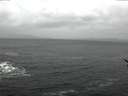 ./images/koeye/fitz-hugh/20170128/fitz-hugh20170128_121802.jpg