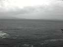 ./images/koeye/fitz-hugh/20170128/fitz-hugh20170128_122402.jpg