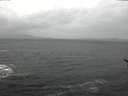 ./images/koeye/fitz-hugh/20170128/fitz-hugh20170128_132703.jpg