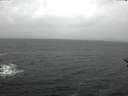 ./images/koeye/fitz-hugh/20170128/fitz-hugh20170128_135703.jpg