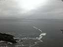./images/koeye/fitz-hugh/20170129/fitz-hugh20170129_075702.jpg