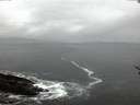 ./images/koeye/fitz-hugh/20170129/fitz-hugh20170129_080003.jpg
