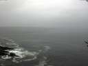 ./images/koeye/fitz-hugh/20170129/fitz-hugh20170129_095702.jpg