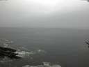./images/koeye/fitz-hugh/20170129/fitz-hugh20170129_100003.jpg