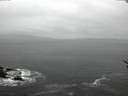 ./images/koeye/fitz-hugh/20170129/fitz-hugh20170129_105702.jpg