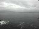 ./images/koeye/fitz-hugh/20170129/fitz-hugh20170129_112701.jpg