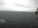 ./images/koeye/fitz-hugh/20170129/fitz-hugh20170129_120001.jpg