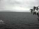 ./images/koeye/fitz-hugh/20170129/fitz-hugh20170129_121503.jpg