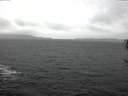 ./images/koeye/fitz-hugh/20170129/fitz-hugh20170129_122702.jpg