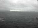 ./images/koeye/fitz-hugh/20170129/fitz-hugh20170129_132702.jpg
