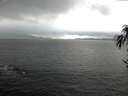 ./images/koeye/fitz-hugh/20170129/fitz-hugh20170129_142703.jpg