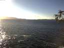 ./images/koeye/fitz-hugh/20170130/fitz-hugh20170130_145703.jpg