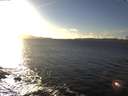 ./images/koeye/fitz-hugh/20170130/fitz-hugh20170130_155702.jpg