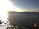 ./images/koeye/fitz-hugh/20170130/fitz-hugh20170130_160003.jpg