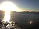 ./images/koeye/fitz-hugh/20170130/fitz-hugh20170130_162703.jpg