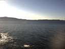 ./images/koeye/fitz-hugh/20170131/fitz-hugh20170131_142702.jpg
