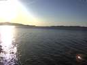 ./images/koeye/fitz-hugh/20170131/fitz-hugh20170131_155703.jpg