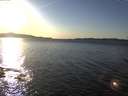 ./images/koeye/fitz-hugh/20170131/fitz-hugh20170131_160003.jpg