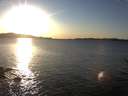 ./images/koeye/fitz-hugh/20170131/fitz-hugh20170131_162702.jpg
