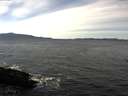 ./images/koeye/fitz-hugh/20170203/fitz-hugh20170203_122403.jpg
