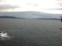 ./images/koeye/fitz-hugh/20170204/fitz-hugh20170204_075702.jpg