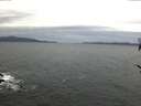 ./images/koeye/fitz-hugh/20170204/fitz-hugh20170204_080003.jpg