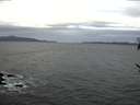 ./images/koeye/fitz-hugh/20170204/fitz-hugh20170204_082701.jpg
