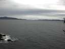 ./images/koeye/fitz-hugh/20170204/fitz-hugh20170204_085706.jpg