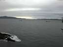 ./images/koeye/fitz-hugh/20170204/fitz-hugh20170204_095702.jpg