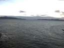 ./images/koeye/fitz-hugh/20170205/fitz-hugh20170205_082705.jpg