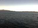 ./images/koeye/fitz-hugh/20170206/fitz-hugh20170206_095707.jpg