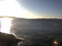 ./images/koeye/fitz-hugh/20170206/fitz-hugh20170206_155704.jpg