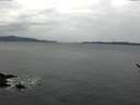 ./images/koeye/fitz-hugh/20170207/fitz-hugh20170207_121501.jpg
