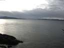 ./images/koeye/fitz-hugh/20170207/fitz-hugh20170207_145704.jpg