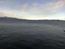 ./images/koeye/fitz-hugh/20170208/fitz-hugh20170208_100002.jpg