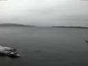 ./images/koeye/fitz-hugh/20170209/fitz-hugh20170209_072706.jpg