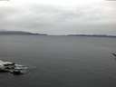 ./images/koeye/fitz-hugh/20170209/fitz-hugh20170209_080002.jpg