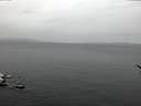 ./images/koeye/fitz-hugh/20170209/fitz-hugh20170209_082706.jpg