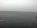 ./images/koeye/fitz-hugh/20170209/fitz-hugh20170209_095706.jpg